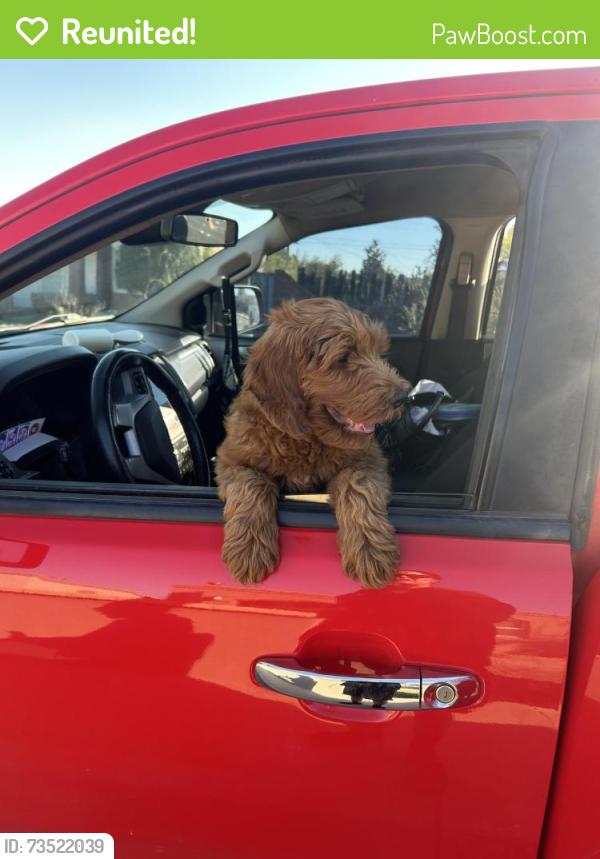 Reunited Male Dog last seen Tesuque and painted pony trail, Albuquerque, NM 87120