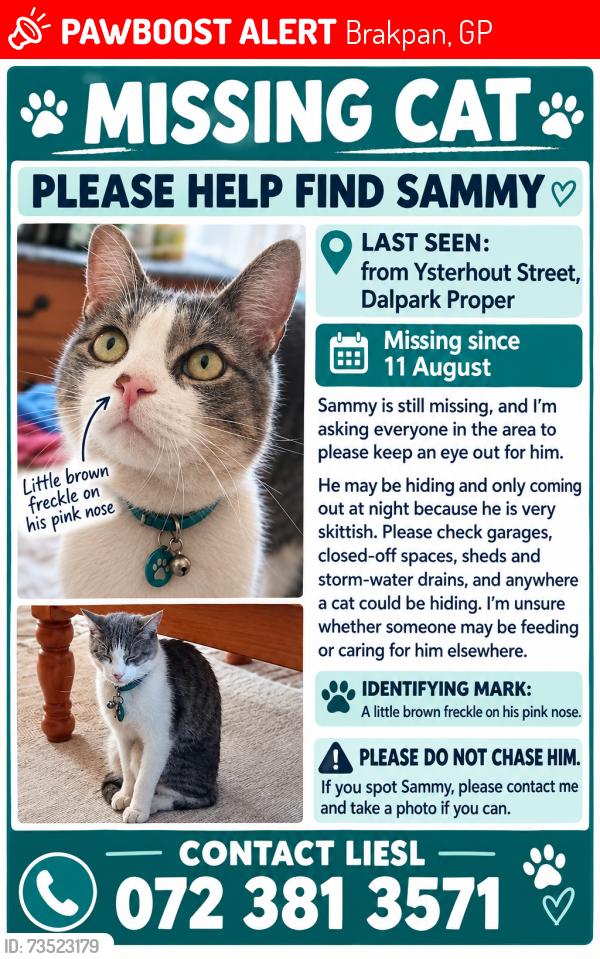 Lost Male Cat last seen Hendrik Potgieter, Brakpan, GP 1541