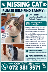 Lost Male Cat last seen Hendrik Potgieter, Brakpan, GP 1541