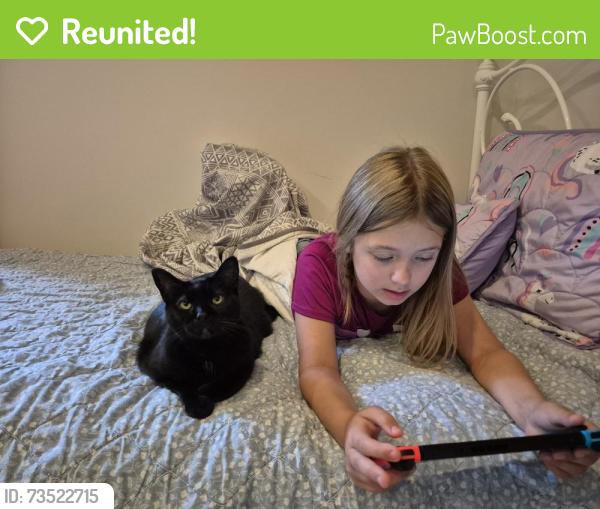 Reunited Female Cat last seen Gratiot blvd, Marysville, MI 48040