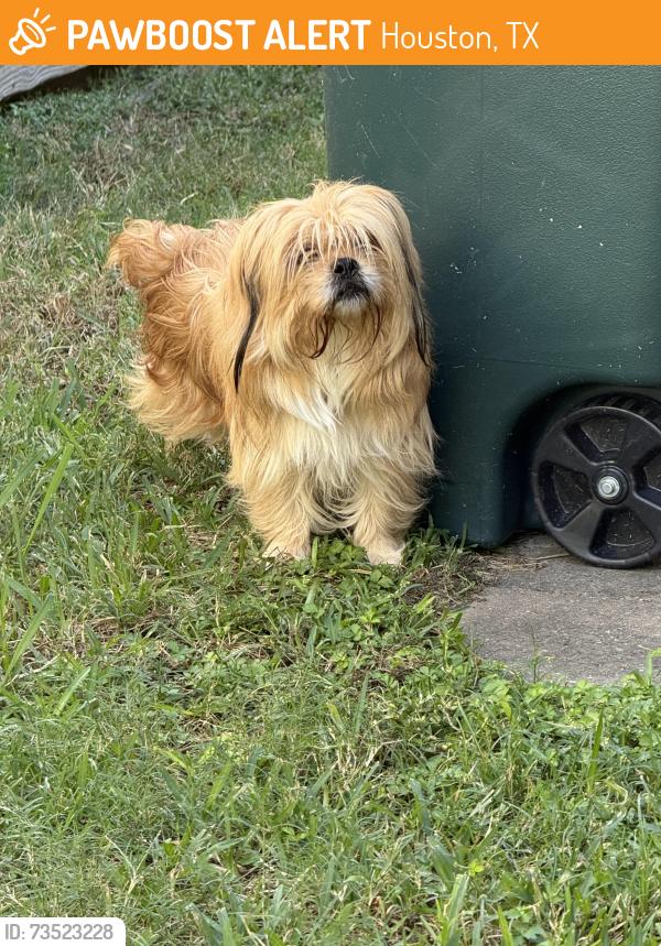 Found/Stray Unknown Dog last seen Barker Cypress, Houston, TX 77095