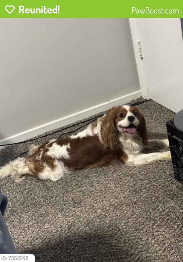 Reunited Male Dog last seen Na, Cleveland, OH 44104