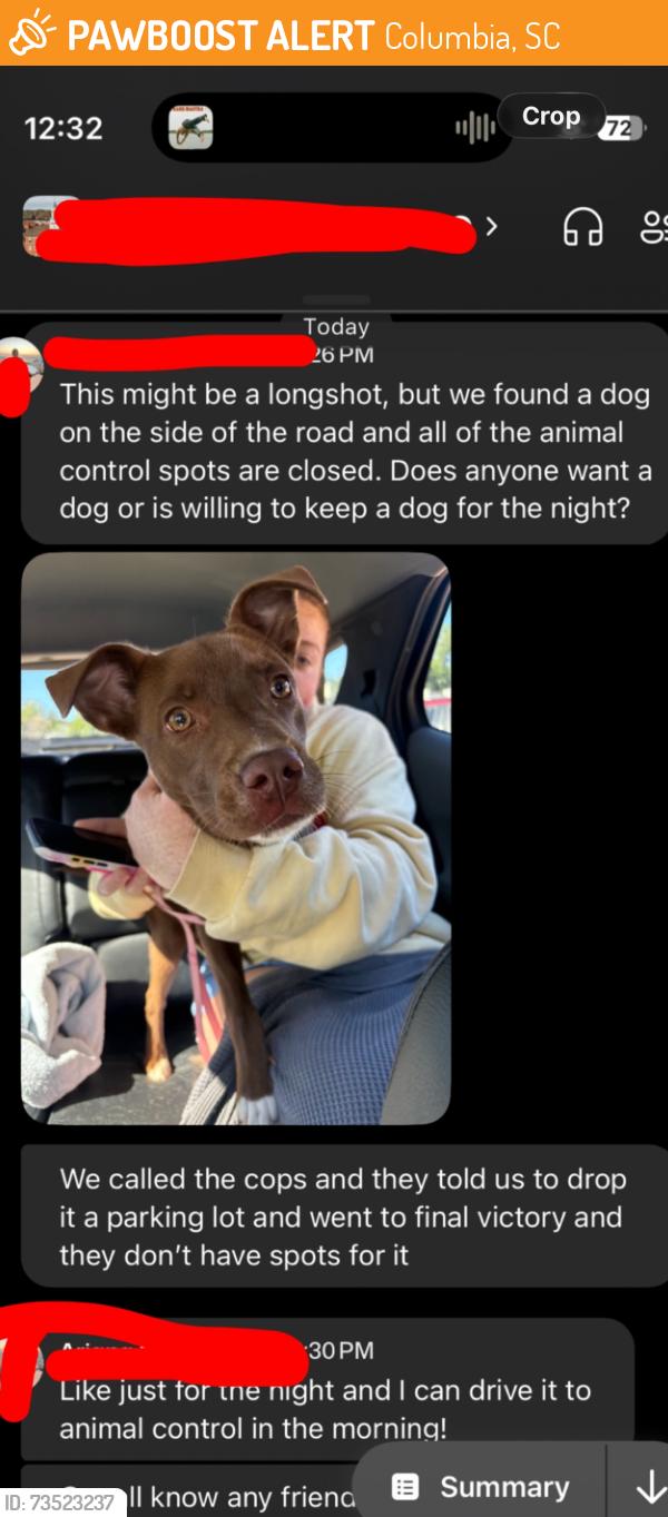 Found/Stray Male Dog last seen Shop rd by the highway, Columbia, SC 29205