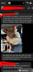 Found/Stray Male Dog last seen Shop rd by the highway, Columbia, SC 29205