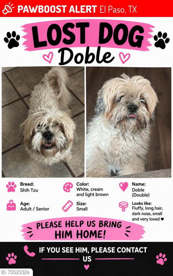 Lost Male Dog last seen Álbum park, El Paso, TX 79925