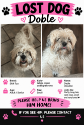 Lost Male Dog last seen Álbum park, El Paso, TX 79925