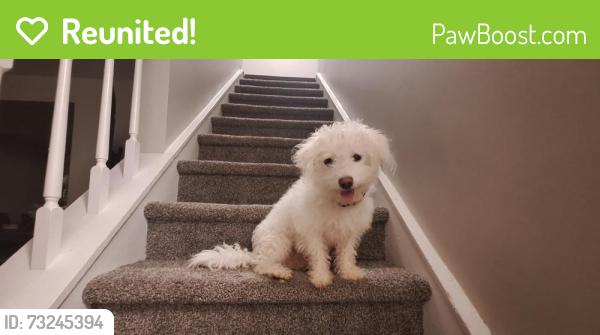 Reunited Male Dog last seen Winchelsea Dr, Charlotte, NC 28212