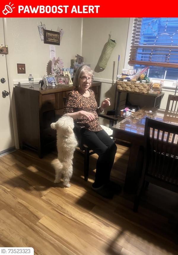 Lost Male Dog last seen Sonasko by the fee market and the churc, Manalapan Township, NJ 07726