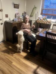 Lost Male Dog last seen Sonasko by the fee market and the churc, Manalapan Township, NJ 07726