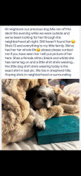 Lost Female Dog last seen southdown ln, Roscoe, IL 61073