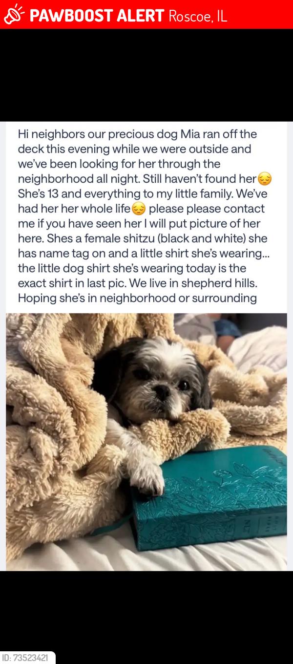 Lost Female Dog last seen southdown ln, Roscoe, IL 61073