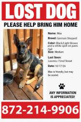 Reunited Male Dog last seen Near W 72 st, Chicago, IL 60620