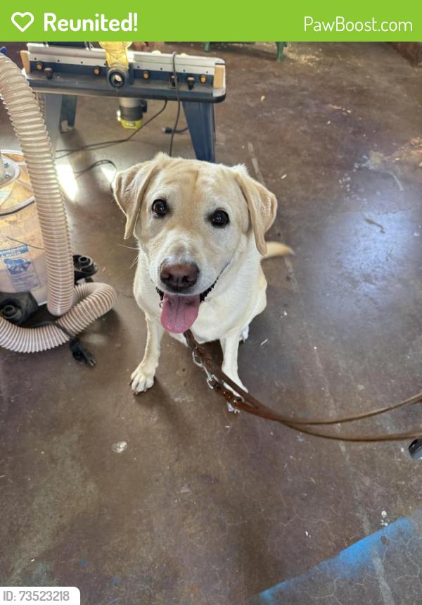 Reunited Male Dog last seen Longwood Ct, Thousand Oaks, CA 91320