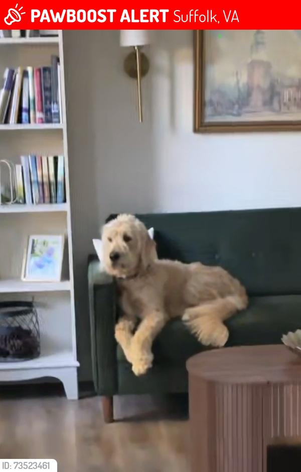 Lost Male Dog last seen Idk, Suffolk, VA 23434