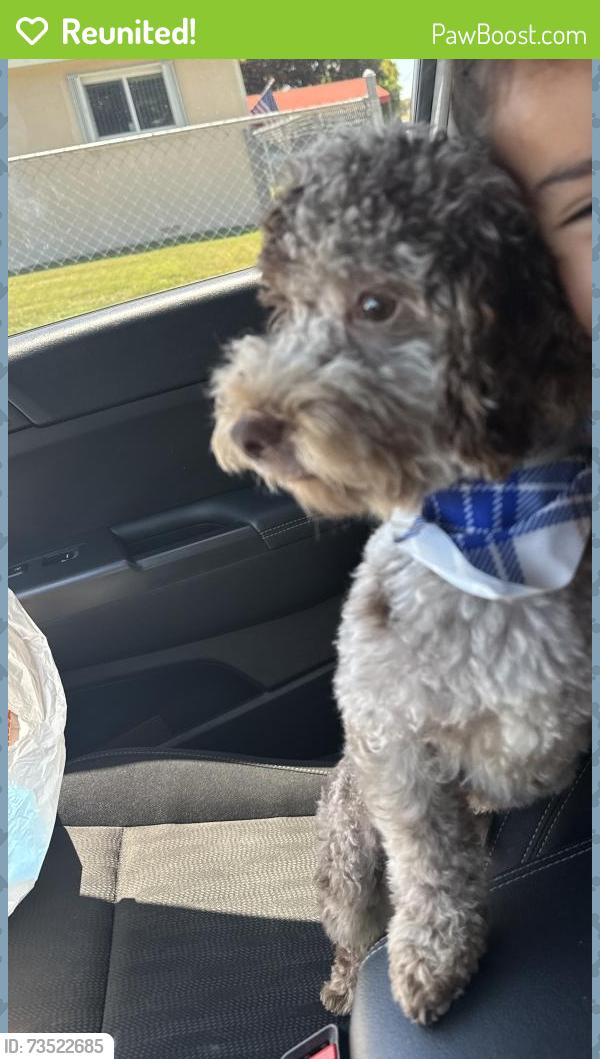 Reunited Male Dog last seen Columbus high school, Olympia Heights, FL 33165