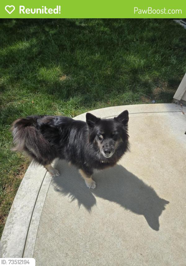 Reunited Female Dog last seen Last seen running around Summerlake, Pendleton, IN 46064
