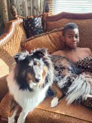 Reunited Male Dog last seen University/69th,Fridley, Fridley, MN 55432