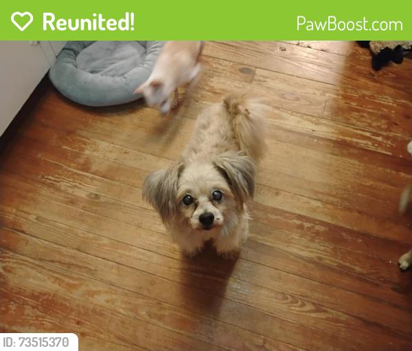 Reunited Male Dog last seen S 25th St and Okeechobee Rd, Fort Pierce, FL 34950