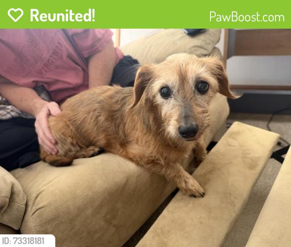 Reunited Female Dog last seen Evanston and Ipchurch, Park City, KS 67219