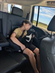 Reunited Male Dog last seen Self Storage on Basswood near 35, Fort Worth, TX 76137