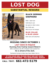Lost Male Dog last seen Mojave Blvd Fastrip, Mojave, CA 93501