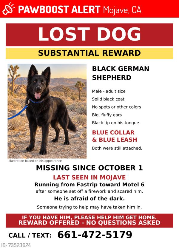 Lost Male Dog last seen Mojave Blvd Fastrip, Mojave, CA 93501