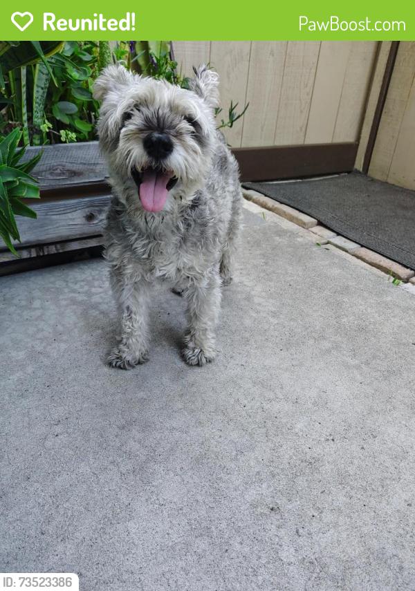 Reunited Female Dog last seen 3rd behind Carnival, Chula Vista, CA 91911