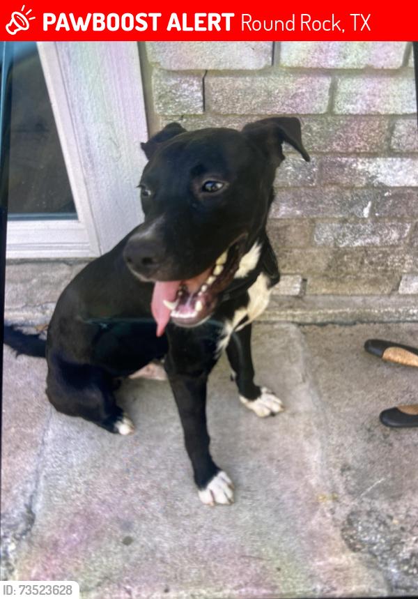 Lost Male Dog last seen T&C Sports , park, Round Rock, TX 78664