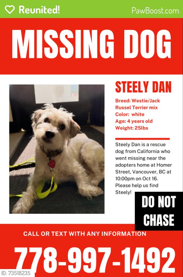 Reunited Male Dog last seen Coopers park, Vancouver, BC 