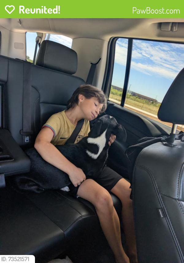 Reunited Male Dog last seen Self Storage on Basswood near 35, Fort Worth, TX 76137