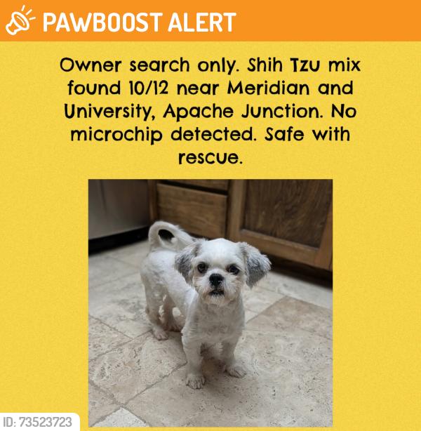 Found/Stray Unknown Dog last seen Meridian and University, Apache Junction, AZ 85120