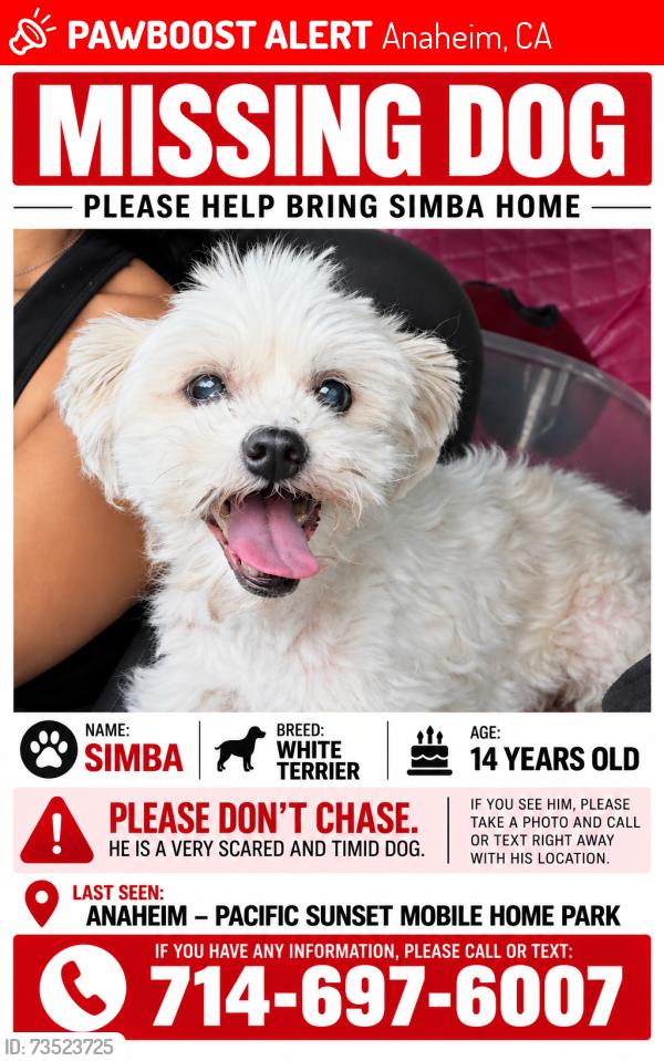 Lost Male Dog last seen Near S beach blvd spc 93 Anaheim CA 92804, Anaheim, CA 92804