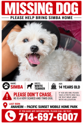 Lost Male Dog last seen Near S beach blvd spc 93 Anaheim CA 92804, Anaheim, CA 92804