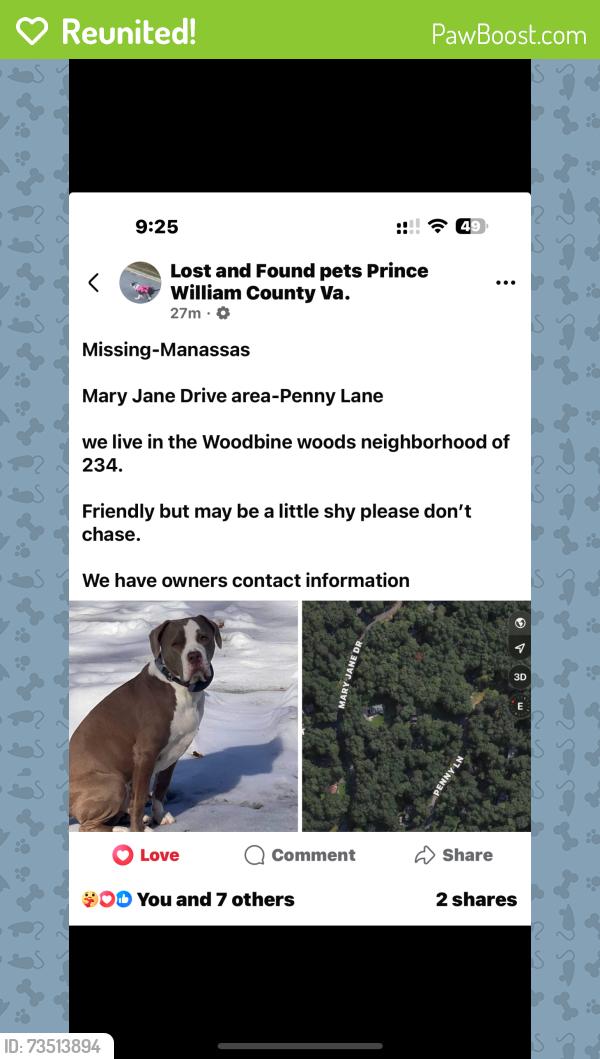 Reunited Male Dog last seen Marie Jane/ councelor near Ace Hardware off of Dumfries woodbine woods neighborhood, Manassas, VA 20112