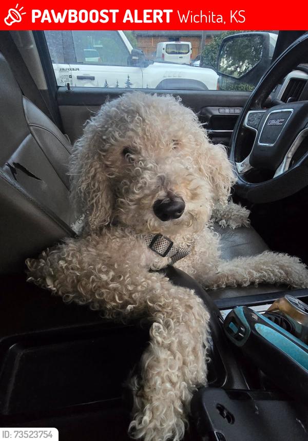 Lost Male Dog last seen Country club place and hillside, Wichita, KS 67208