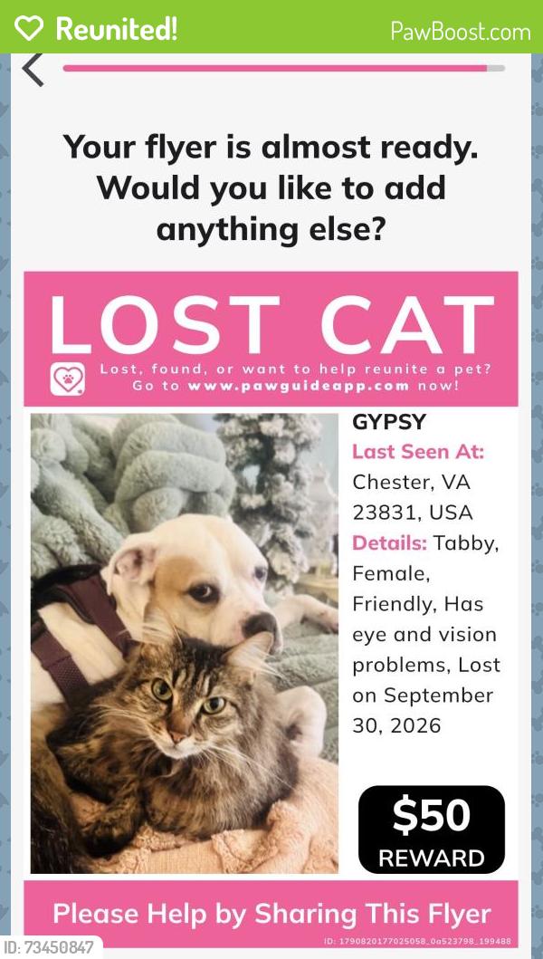 Reunited Female Cat last seen Forest lake rd in craddock subdivision, Chester, VA 23831