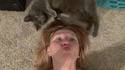 Lost Male Cat last seen Blackberry Creek Apts, Soddy-Daisy, TN 37379