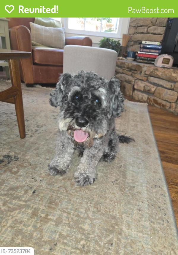 Reunited Male Dog last seen Willis park, Avondale Estates, GA 30002