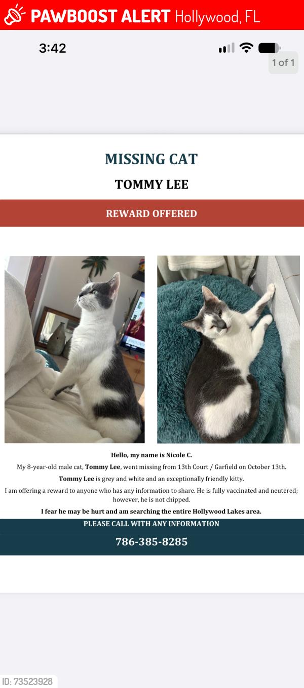 Lost Male Cat last seen hollywood Lakes, Johnson Street and 13th Court or Garfield, Hollywood, FL 33019