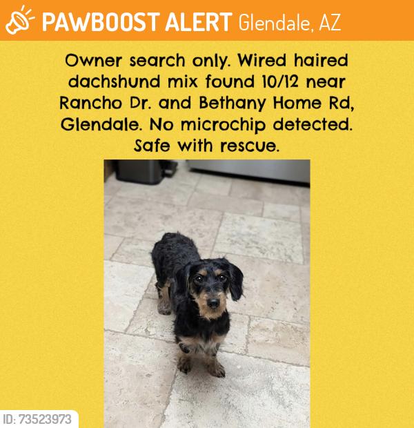 Found/Stray Unknown Dog last seen Rancho Dr and Bethany Home Rd, Glendale, AZ 85301