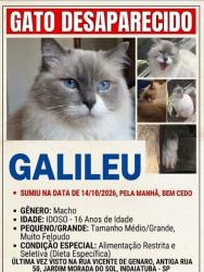 Reunited Male Cat last seen Piano, parque ecológico, Jardim Morada do Sol, SP 13346-500