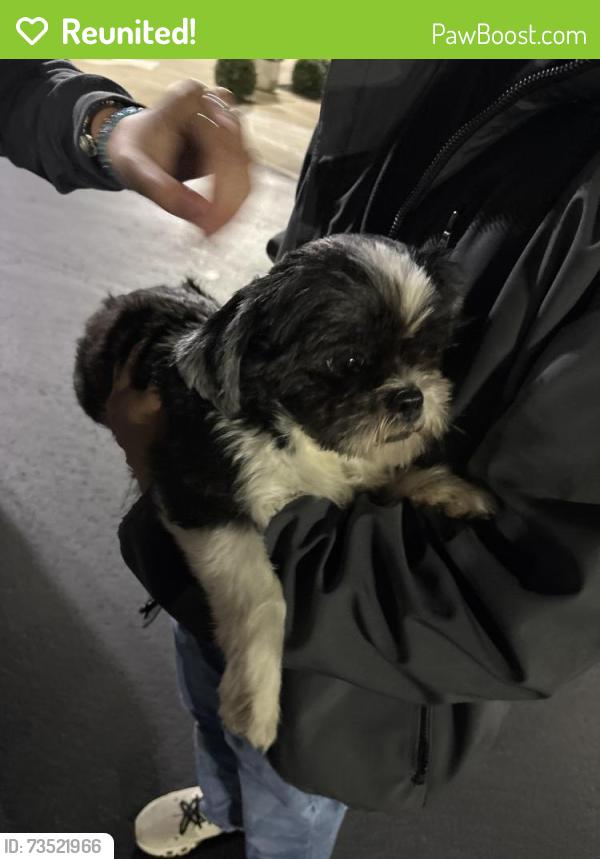 Reunited Female Dog last seen Near Madworld, Piedmont, SC 29673