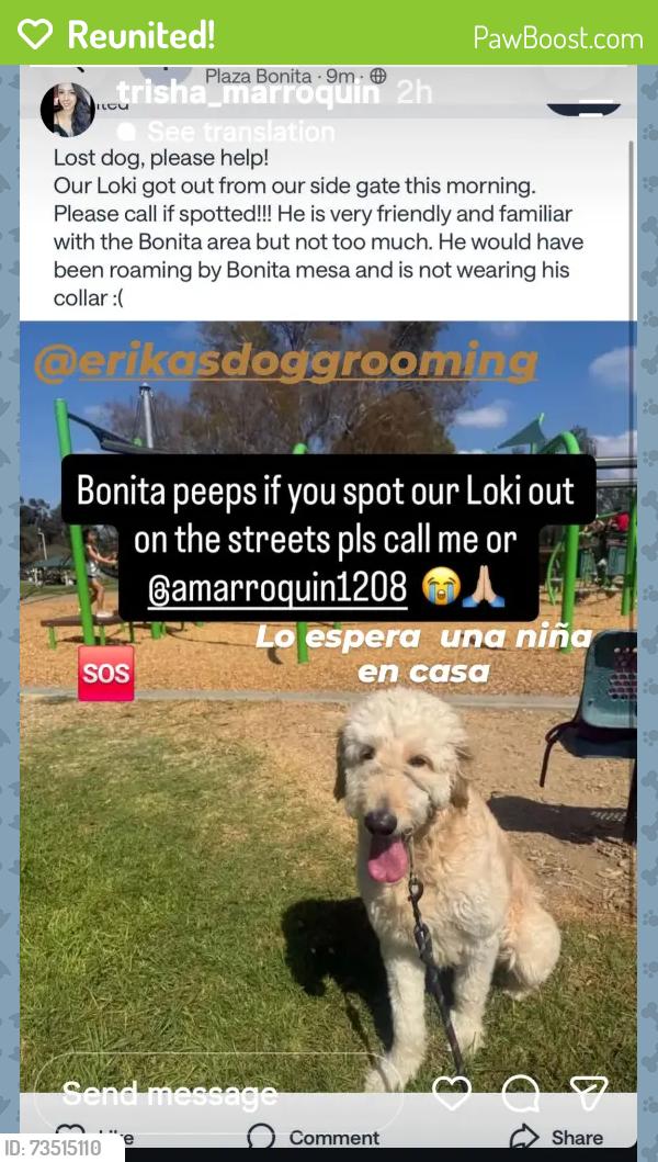 Reunited Male Dog last seen Bonita, Bonita, CA 91902