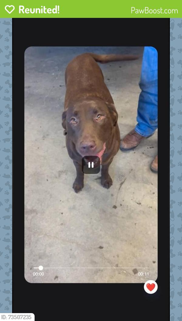 Reunited Female Dog last seen Out by the sloughs near the Grand Forks Air & airport to the North, Rye Township, ND 58203