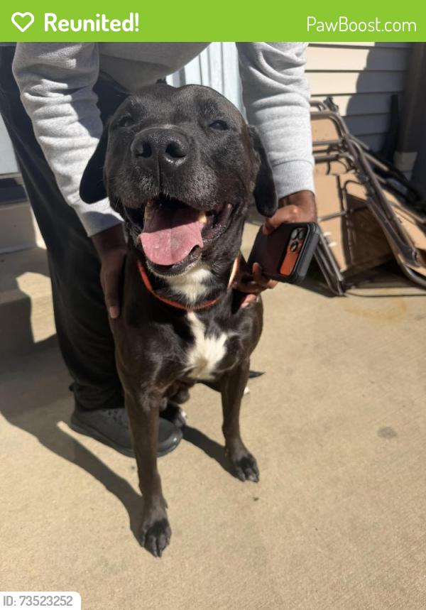 Reunited Male Dog last seen 85th and Farley, Overland Park, KS 66212