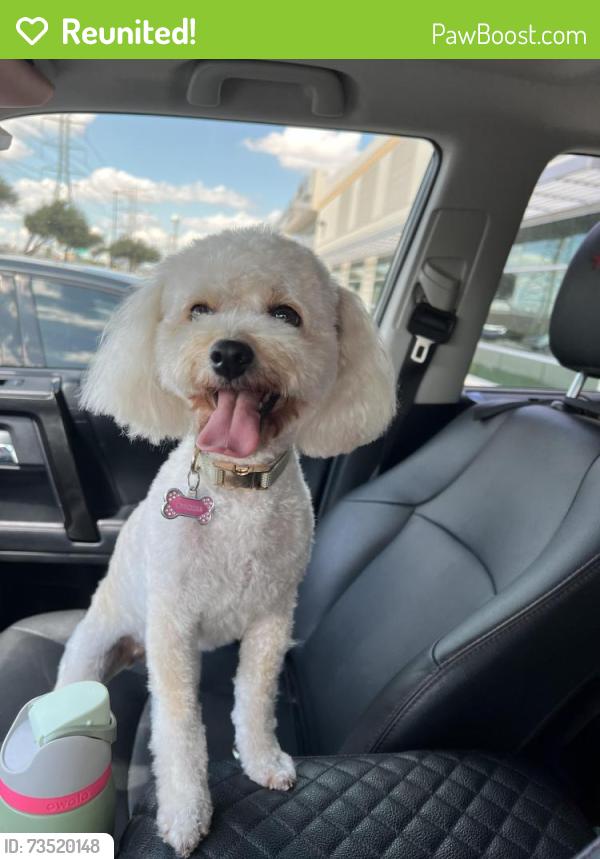 Reunited Female Dog last seen Jast and Barklea, Houston, TX 77429