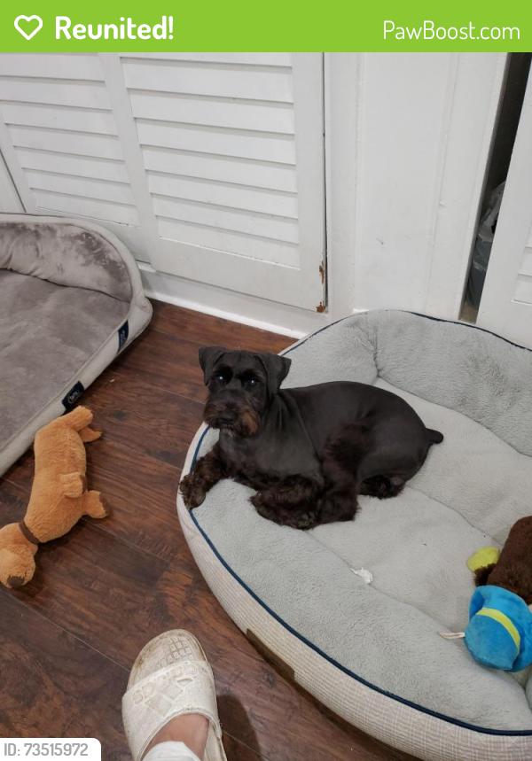 Reunited Male Dog last seen N 70th ave Hollywood, Hollywood, FL 33024