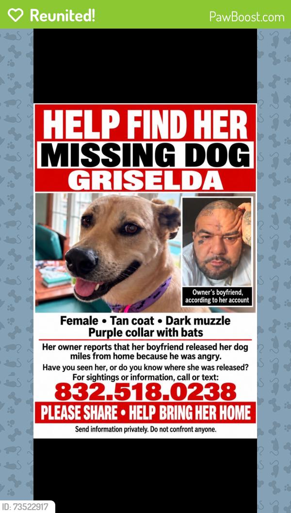Reunited Female Dog last seen Near, Spring, TX 77373
