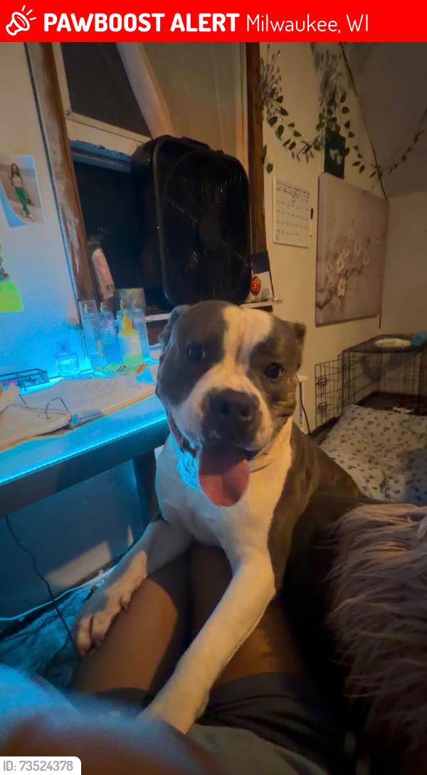 Lost Male Dog last seen N 51st blvd, Milwaukee, WI 53216