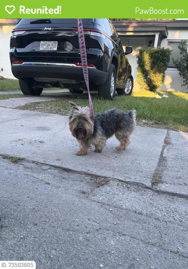 Reunited Male Dog last seen 39th ave, Miami, FL 33134